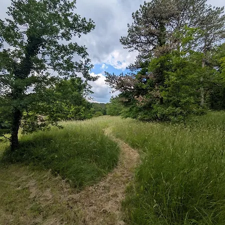 L&m, Domaine De L'ameillée * Puy-lʼÉvêque